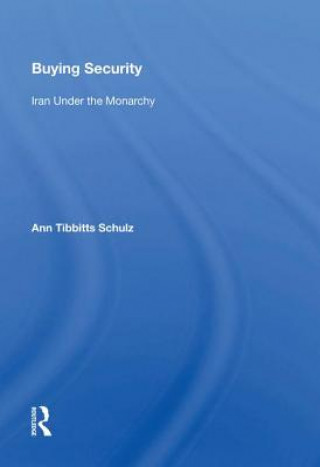 Boek Buying Security Ann Tibbitts Schulz
