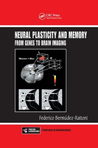 Könyv Neural Plasticity and Memory 