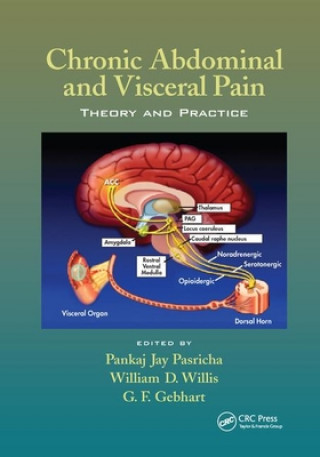 Kniha Chronic Abdominal and Visceral Pain 