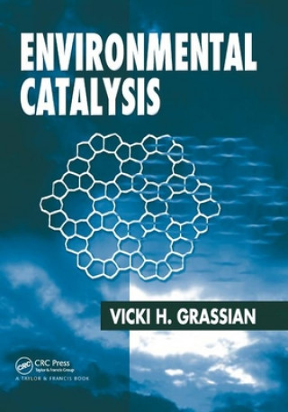 Livre Environmental Catalysis 