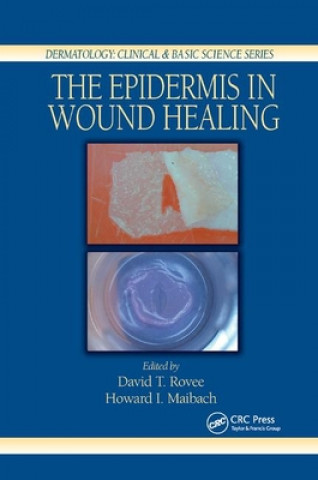 Książka Epidermis in Wound Healing 
