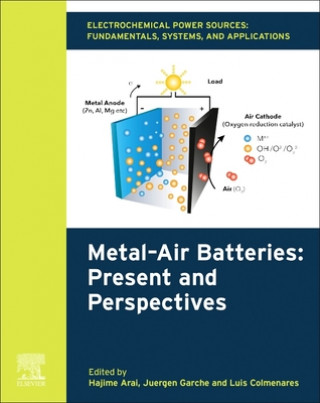 Kniha Electrochemical Power Sources: Fundamentals, Systems, and Applications Hajime Arai