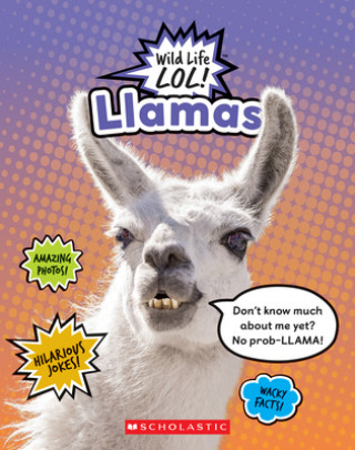 Könyv Llamas (Wild LIfe LOL!) Mara Grunbaum