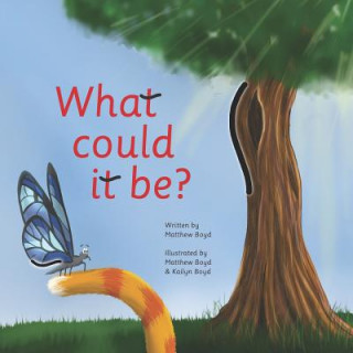 Book What Could It Be? Matthew Boyd
