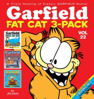 Book Garfield Fat Cat 3-Pack #22 Jim Davis