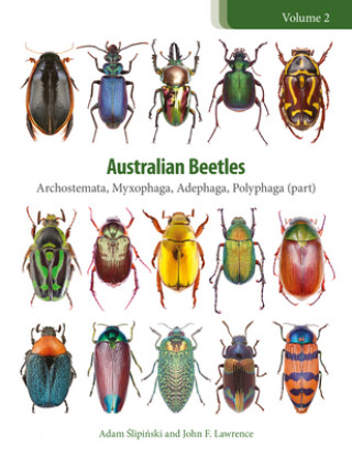 Książka Australian Beetles Volume 2 