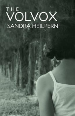 Kniha Volvox Sandra Heilpern