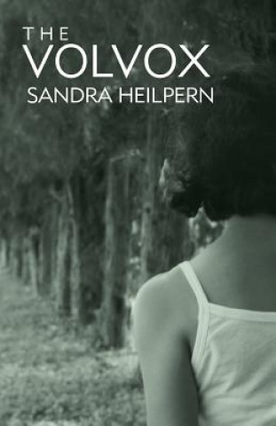 Buch Volvox Sandra Heilpern