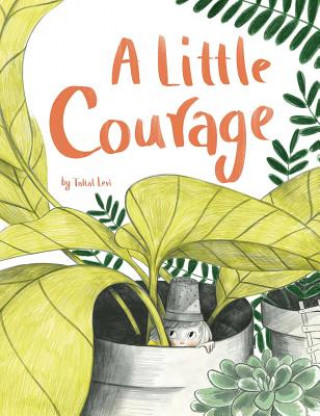 Könyv Little Courage Taltal Levi