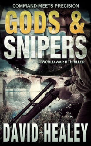 Livro Gods & Snipers David Healey
