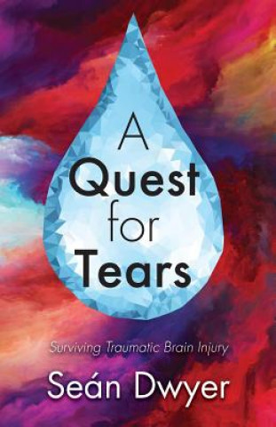 Buch A Quest for Tears Sean Dwyer