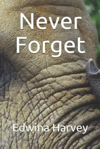 Kniha Never Forget: a novelette Edwina Harvey