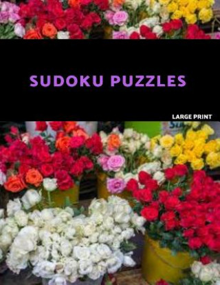 Kniha Sudoku Puzzles Large Print: Easy, Medium and Hard Sudoku Puzzle Book. One puzzle per page with room to work. Akebia Puzzles
