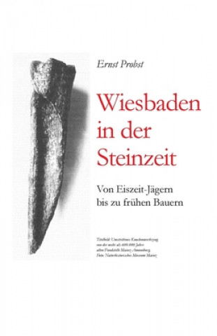 Книга Wiesbaden in der Steinzeit Ernst Probst