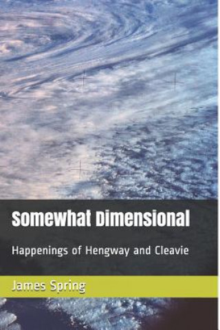 Könyv Somewhat Dimensional: Happenings of Hengway and Cleavie James Spring