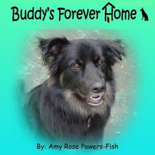 Kniha Buddy's Forever Home Amy Rose Powers-Fish