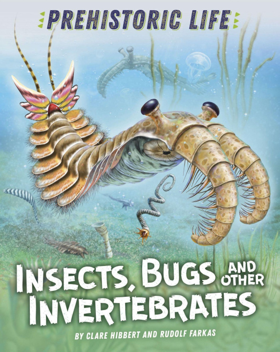 Książka Prehistoric Life: Insects, Bugs and Other Invertebrates HIBBERT  CLARE