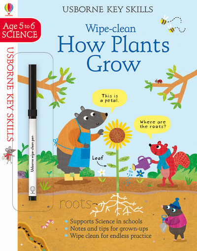 Kniha Wipe-Clean How Plants Grow 5-6 Hannah Watson