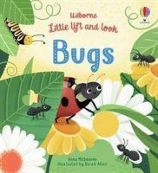 Книга Little Lift and Look Bugs Anna Milbourne