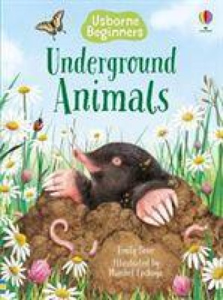 Kniha Underground Animals EMILY BONE