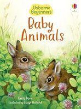 Kniha Baby Animals EMILY BONE