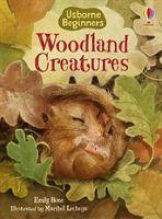 Carte Woodland Creatures EMILY BONE