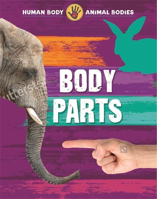 Kniha Body Parts Izzi Howell