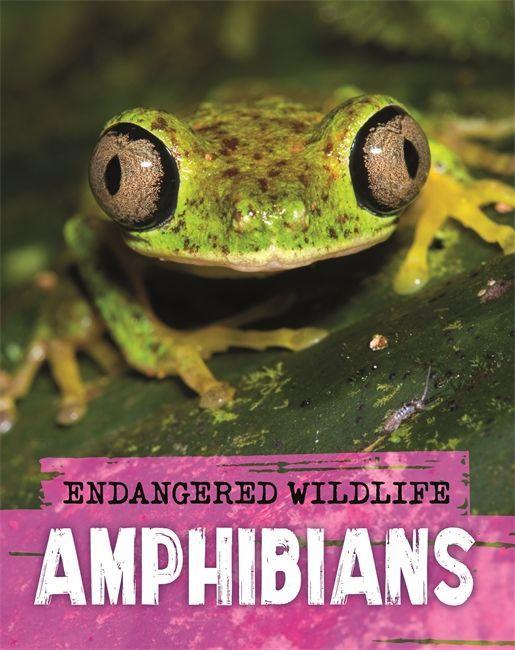 Kniha Endangered Wildlife: Rescuing Amphibians GANERI  ANITA