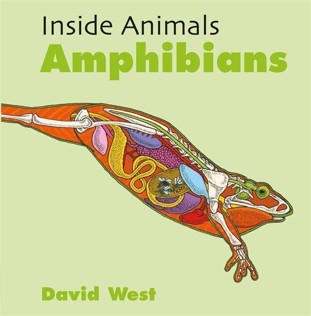 Knjiga Inside Animals: Amphibians WEST  DAVID