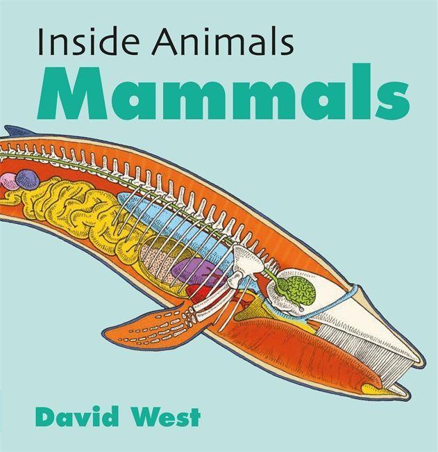 Kniha Inside Animals: Mammals WEST  DAVID