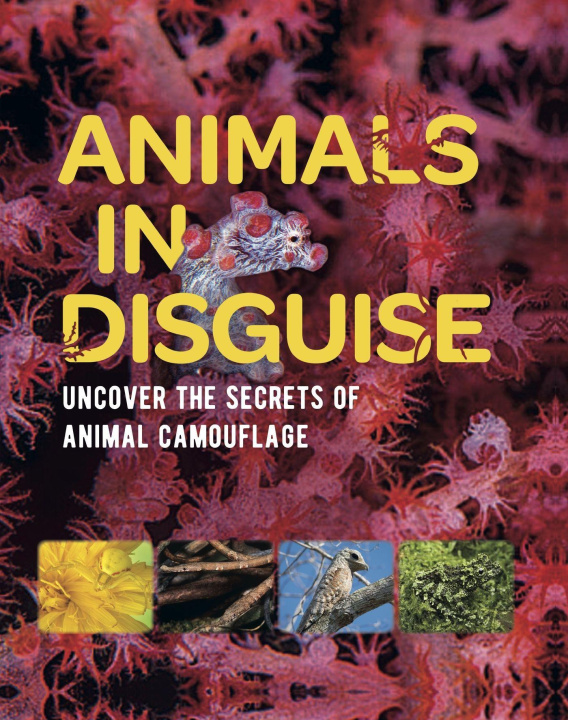 Kniha Animals in Disguise BRIGHT  MICHAEL