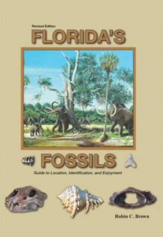 E-Book Florida's Fossils 