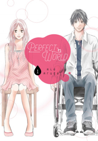 Könyv Perfect World 1 Rie Aruga