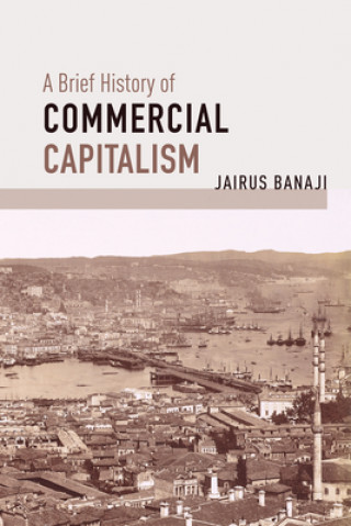 Kniha Brief History of Commercial Capitalism 