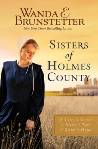 Knjiga Sisters of Holmes County Wanda E. Brunstetter