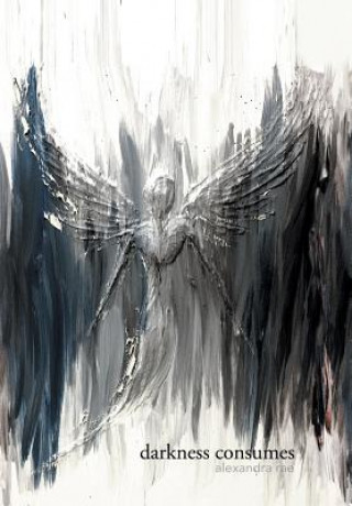 Buch Darkness Consumes Light Empowers ALEXANDRA RAE