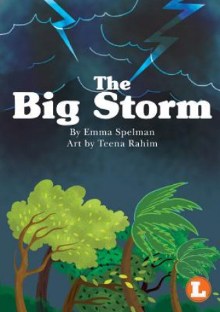 Kniha Big Storm Emma Spelman
