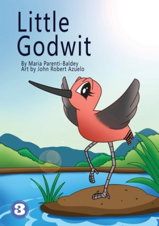 Kniha Little Godwit Maria Parenti-Baldey