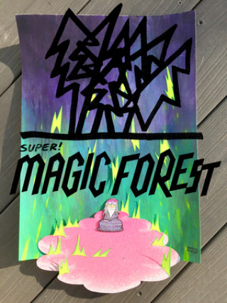 Book Super Magic Forest Ansis Purins