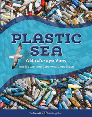 Knjiga Plastic Sea: A Bird's-Eye View Kirsti Blom