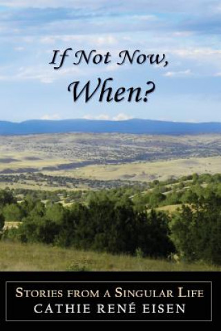 Kniha If Not Now, When? Cathie Rene Eisen