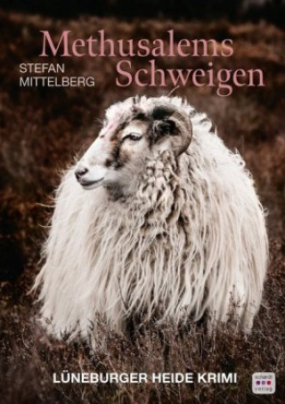 Libro Methusalems Schweigen Stefan Mittelberg