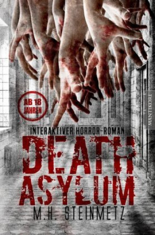 Książka Death Asylum - Interaktiver Horror-Roman M. H. Steinmetz