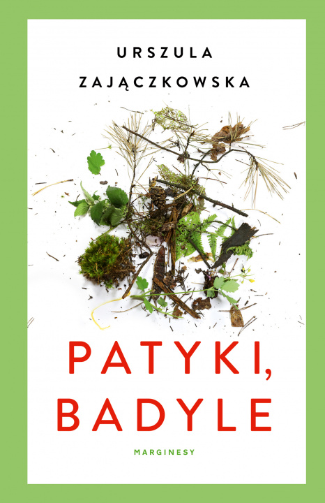 Knjiga Patyki, badyle Zajączkowska Urszula