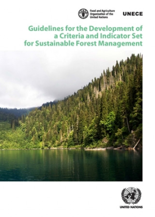 Carte Guidelines for the development of a criteria and indicator set for sustainable forest management United Nations Publications