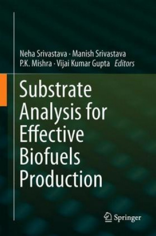 Książka Substrate Analysis for Effective Biofuels Production Neha Srivastava