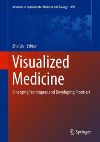 Książka Visualized Medicine: Emerging Techniques and Developing Frontiers Zhe Liu