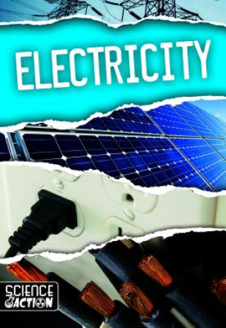 Knjiga Electricity Joanna Brundle