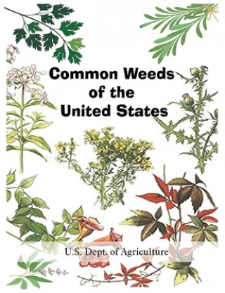 Könyv Common Weeds of the United States U.S. DEPT. OF AGRICU