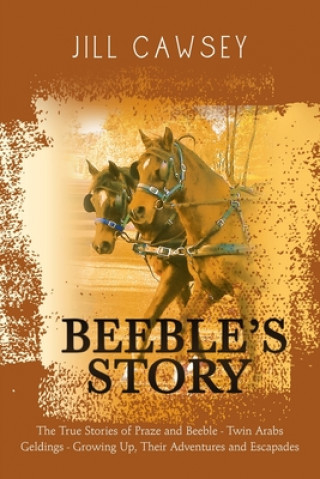 Kniha Beeble's Story Cawsey Jill Cawsey